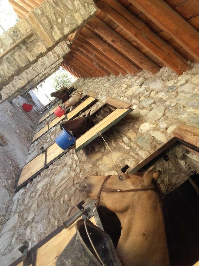 Agriturismo Al Pra Di Muriet سوسا المظهر الخارجي الصورة